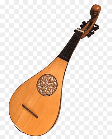 Assorted Brown String Instrument Illustration Alat Muzik Tradisional