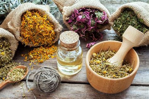 The Role Of Traditional African Medicine In Modern Healthcare