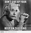 20 Dream Memes to Inspire You in a Funny Way - SayingImages.com