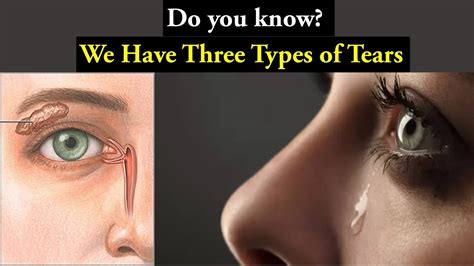 Types Of Tears And How They Works Youtube