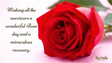 World Rose Day Quotes And Wishes Best Wishes Collections