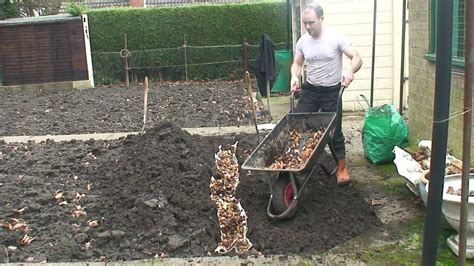 On The Allotment Preparing A Runner Bean Trench Youtube