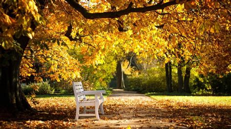 Sunny Autumn Day Wallpaper Nature And Landscape Wallpaper Better