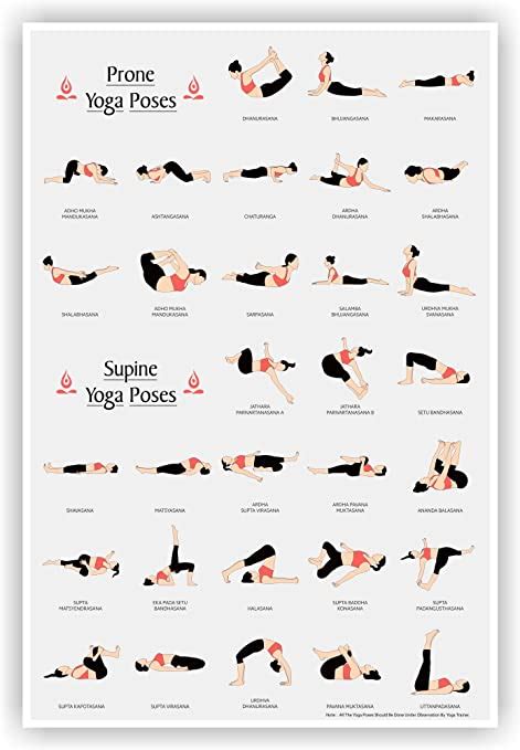 Posterhouzz Prone Supine Yoga Poses Print Wall Poster Fine Art Paper Multicolour 12x18 Inch