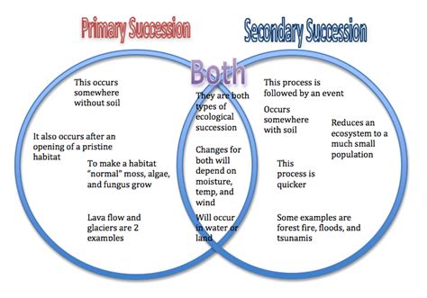 Primary And Secondary Sources Venn Diagram