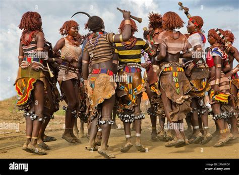 Bull Jumping Ceremony Women Relatives Dance Hamer Tribe Ethiopia Stock