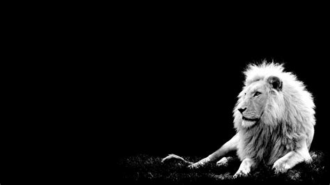 Designer wallpaper online store in mumbai. Download Pure Black and 3D Black HD Wallpapers