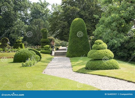 Big Park With Trees And Buxus Plants Stock Image Image Of Summer