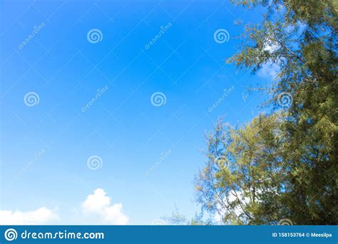 Nature Bright Blue Sky With White Clouds On Blackground