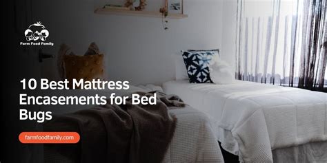 10 Best Mattress Encasements For Bed Bugs Top Picks For Effective