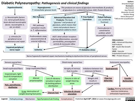 Diabetic Polyneuropathy Pathogenesis And Clinical Findings Calgary Guide