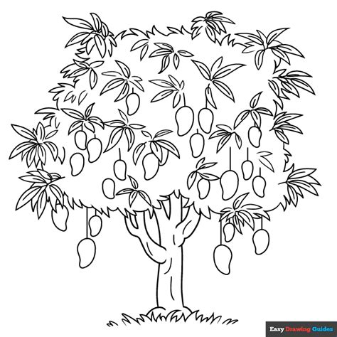 Mango Tree Coloring Page Drawing Coloring Home
