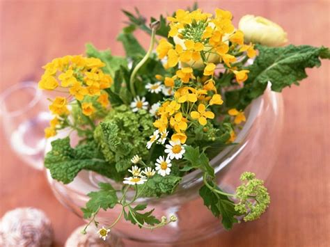 Easy Flowers To Grow Indoors A Useful Guide For Indoor