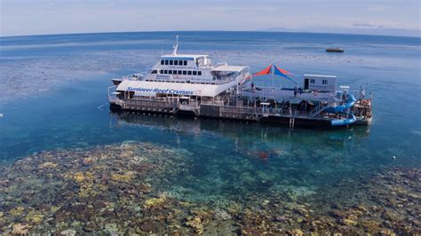 Great Barrier Reef Tour Brand New Waterslide Free Glass Bottom Boat