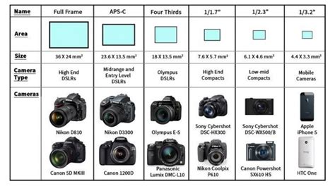 Best Beginner Camera For Wildlife Photography Thats Where This Guide