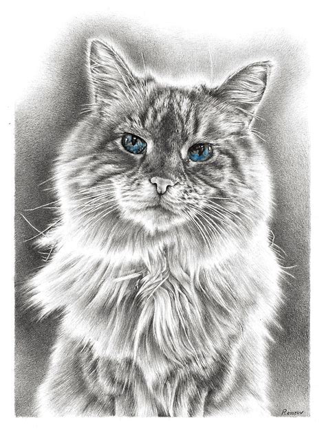 Wise Feline Drawing By Casey Remrov Vormer Pixels