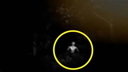 Aliens Caught Grey Camera Spotted