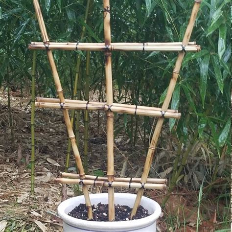 Usa Bamboo Trellis For Potted Plants Orchids Container Etsy