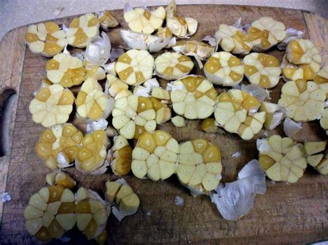Garlic Waxy Breakdown International Produce Training