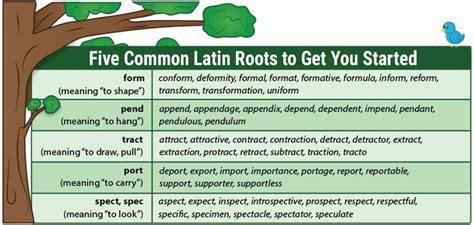 Teach Latin Roots With Word Trees Free Download And Video Teaching