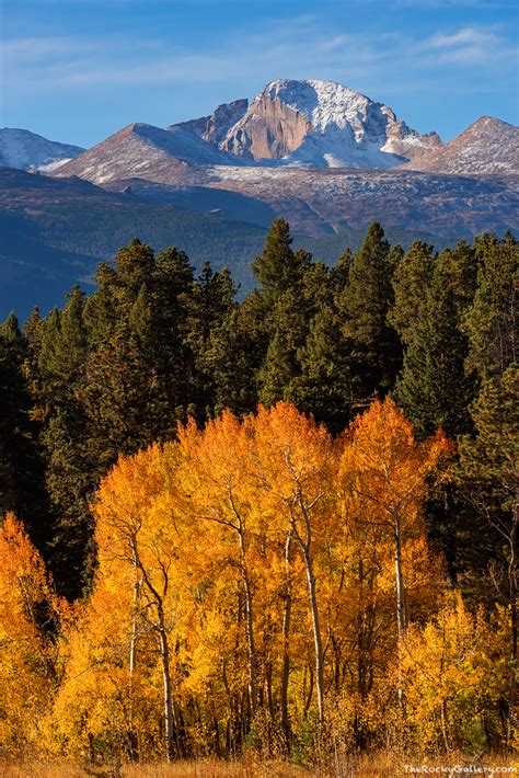 Autumn In The Meadows Rocky Mountain National Park Colorado Thomas