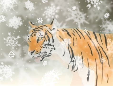 Snow Tiger Stock Illustrations 1411 Snow Tiger Stock Illustrations