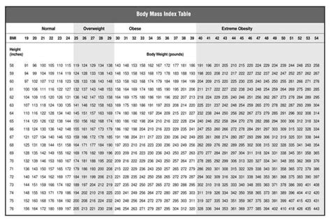 Large Printable Bmi Chart Adult