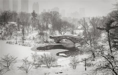 Winter Scene In New York City Snowstorm In Central Park