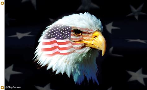 Patriotic Eagle 2ftx3ft Nylon Flag 2x3 Made in USA 2'x3'