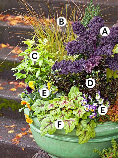 31 Stunning Fall Container Garden Ideas To Try Right Now