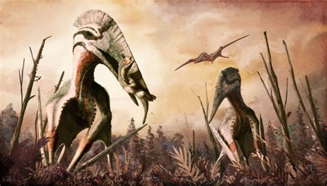 Maybe A Giant Pterosaur Dominated Transylvania At The End Of The Cretaceous