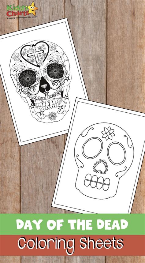 Pin on Halloween Ideas