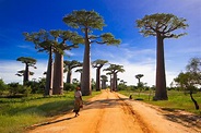 Infos über Madagaskar – Madcham.de