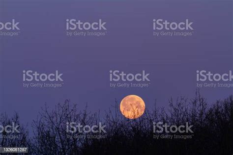 Full Moon Is Setting During Sunrise Stock Photo Download Image Now