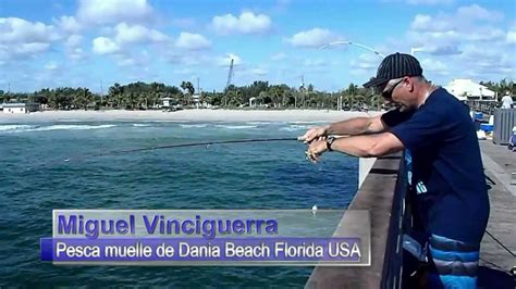 Fishing In Dania Beach Pier Florida Usa Youtube