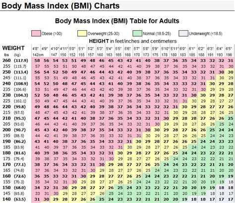 Bmi Calculator Template Body Mass Index In Excel My Xxx Hot Girl