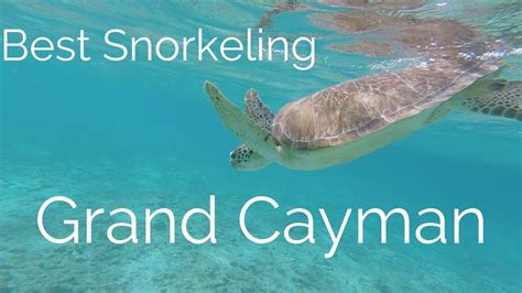 Grand Cayman Best Snorkeling Spots Youtube