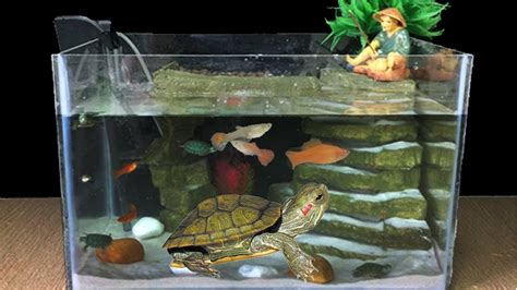 Diy Aquarium Fish Guppy Turtle With Foam Box How To Make Fish Tank