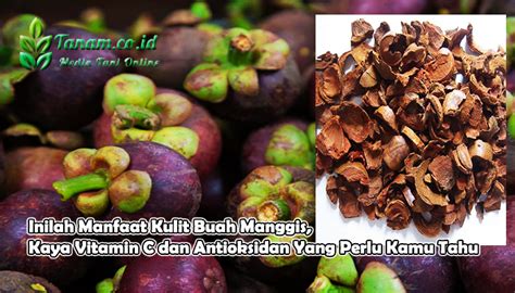 Vertigo adalah salah satu bentuk gangguan keseimbangan dalam telinga bagian dalam sehingga menyebabkan penderita merasa. Inilah Manfaat Kulit Buah Manggis, Kaya Vitamin C dan ...