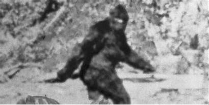 Bigfoot Fbi Patterson Shows Official Rider Roger