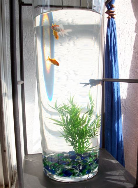 Modèle Décoration Vase Aquarium