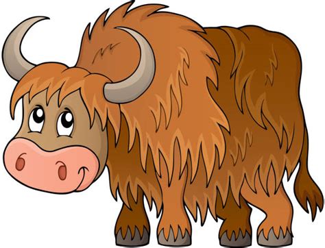 Best Yak Illustrations Royalty Free Vector Graphics And Clip Art Istock