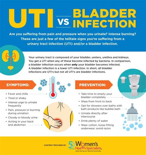 Uti Vs Bladder Infection Uti Remedies Bladder Infection Remedies