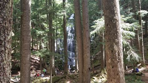 Hike Ramona Falls Trail Oregon 33andfree