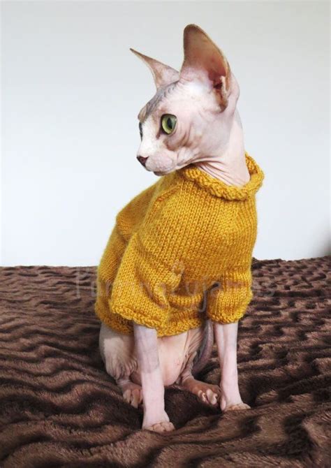 Cat Clothes Sphynx Clothes Clothes For Sphynx Sphynx