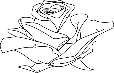 Clipart Rose Line Art