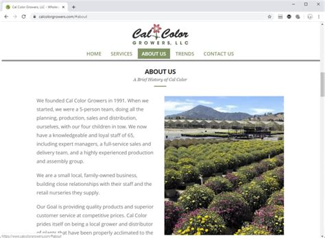 Xem tất cả khách sạn gần san jose flea market trên tripadvisor. Wholesale Flower Web Design Cal Color Growers Web Design ...