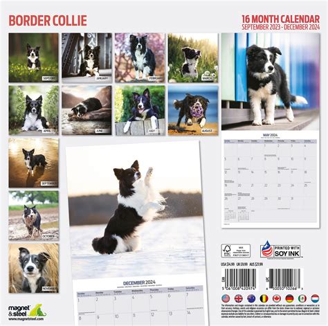 Border Collie Kalender 2024 Kopen Bestel Eenvoudig Online