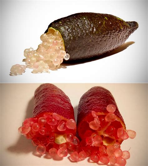 Fascinating Look At Citrus Caviar That Comes From Finger Limes Techeblog