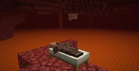 Minecraft Can Villagers Sleep In The Nether Love And Improve Life